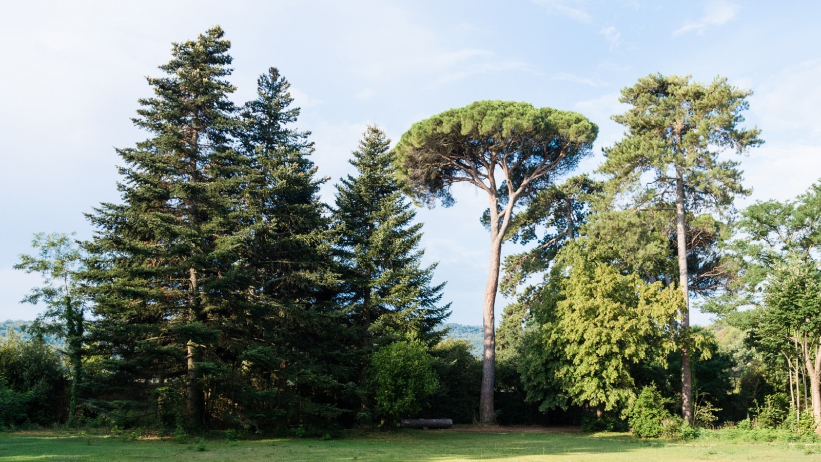 MONTCAUD_PARC-7