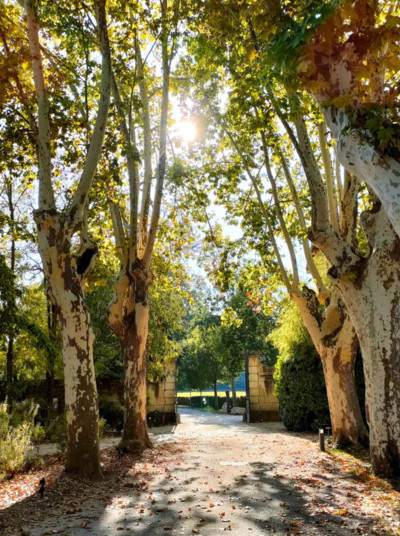 parc-7