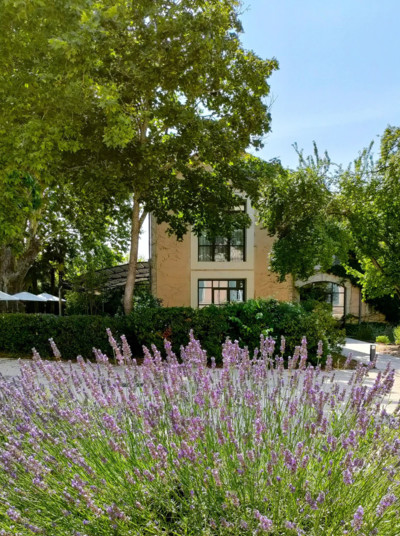 parc-6