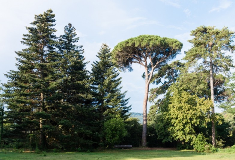 MONTCAUD_PARC-7