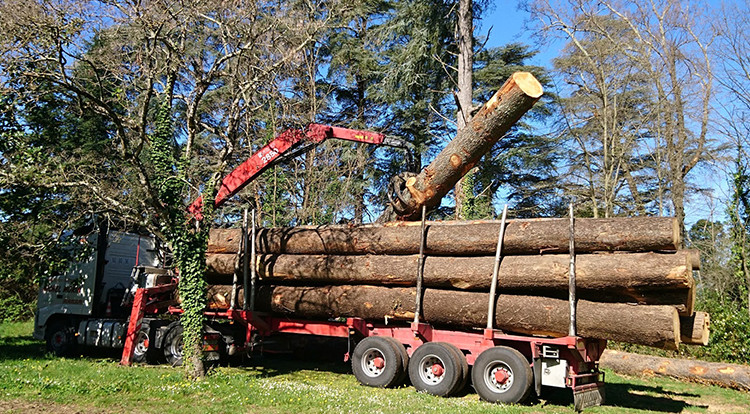 news_image_68a8669fc6450.jpg