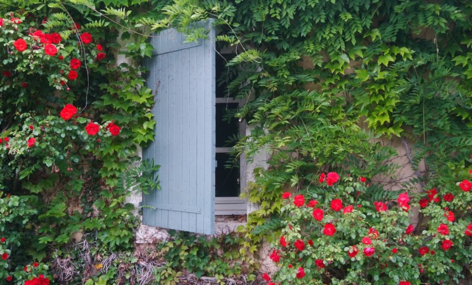 La vie en rose au Château de Montcaud - Chateau de Montcaud