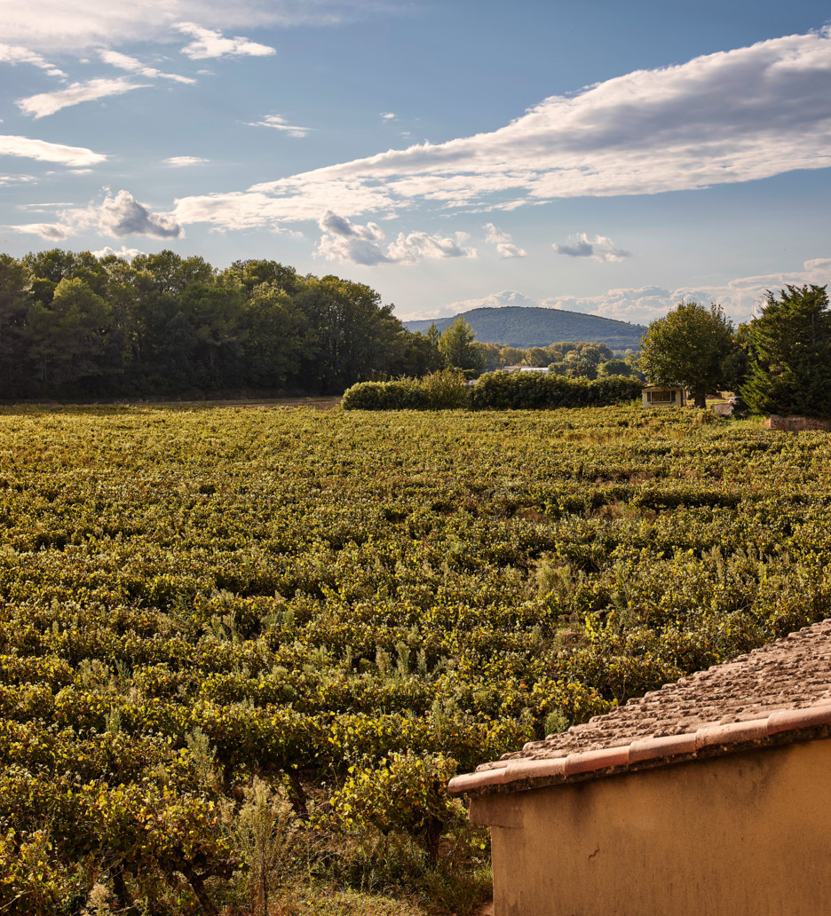 Chateau_de_Montcaud_0483 (1)